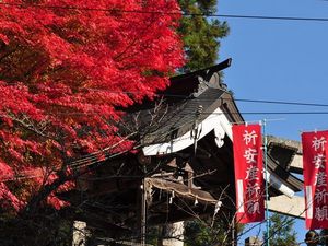 大原神社紅葉