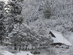 大原神社雪景